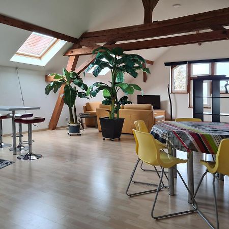 Grange Des Arts Villa Saint-Nabor Eksteriør billede