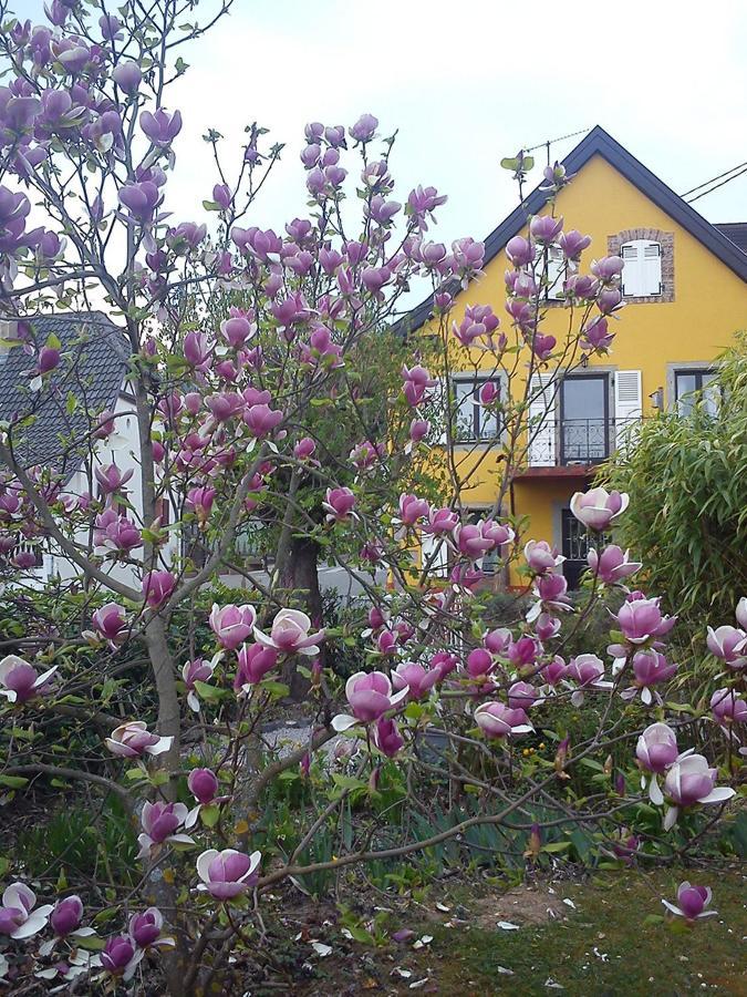 Grange Des Arts Villa Saint-Nabor Eksteriør billede