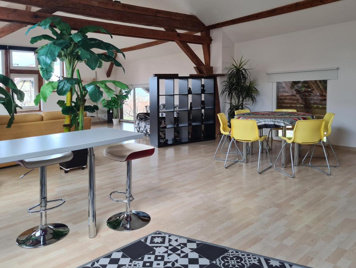 Grange Des Arts Villa Saint-Nabor Eksteriør billede