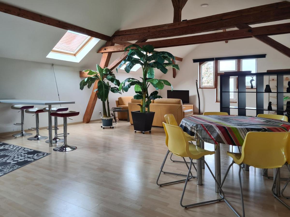 Grange Des Arts Villa Saint-Nabor Eksteriør billede