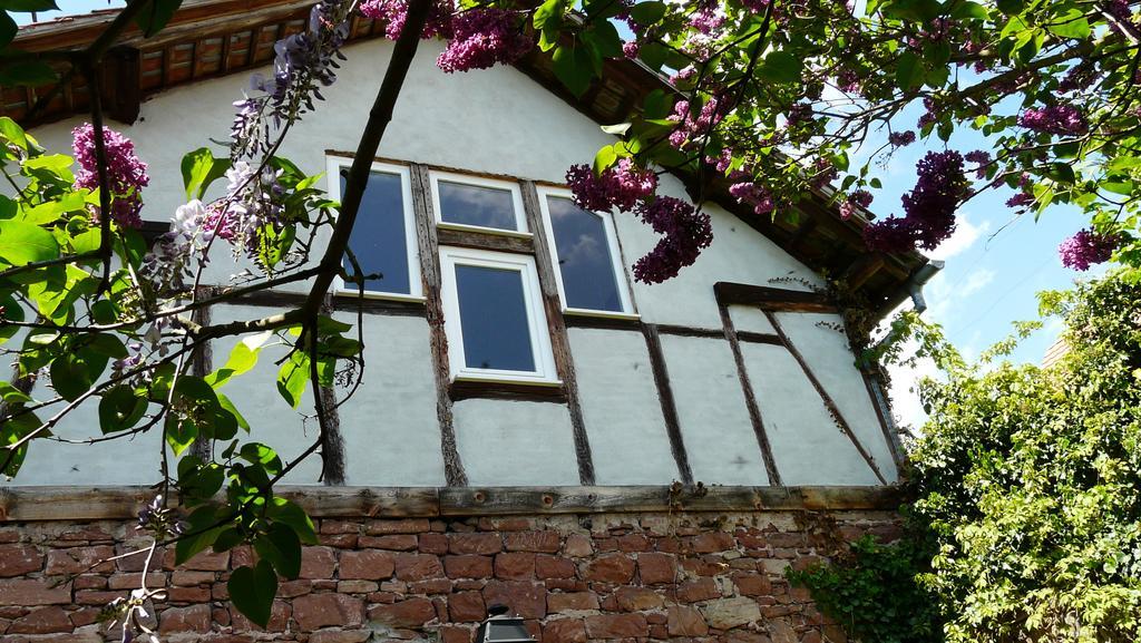 Grange Des Arts Villa Saint-Nabor Eksteriør billede